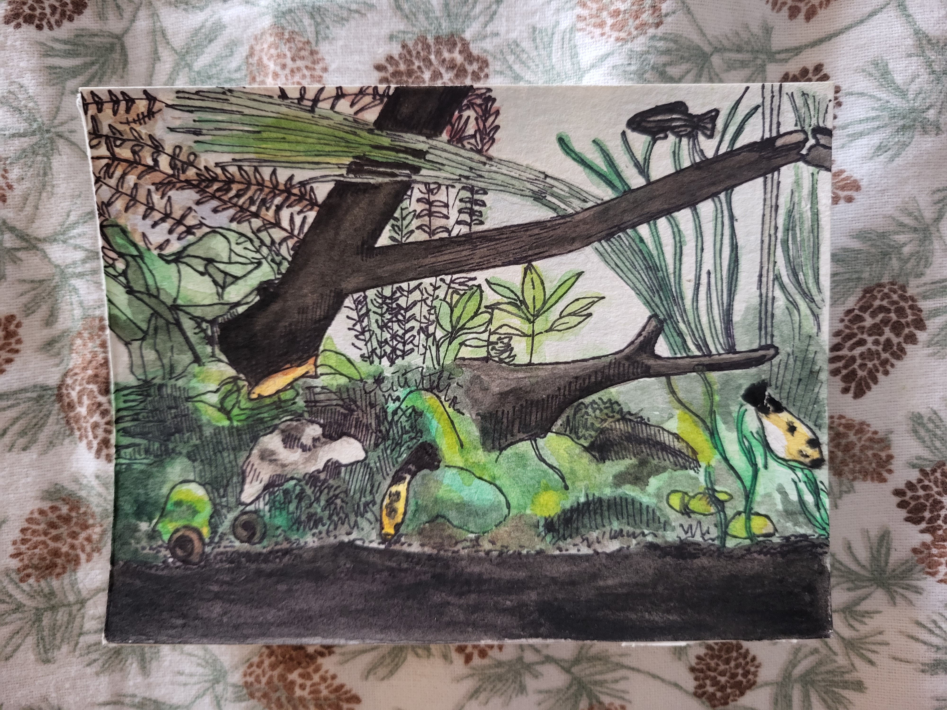 Watercolor painting of a small aquarium