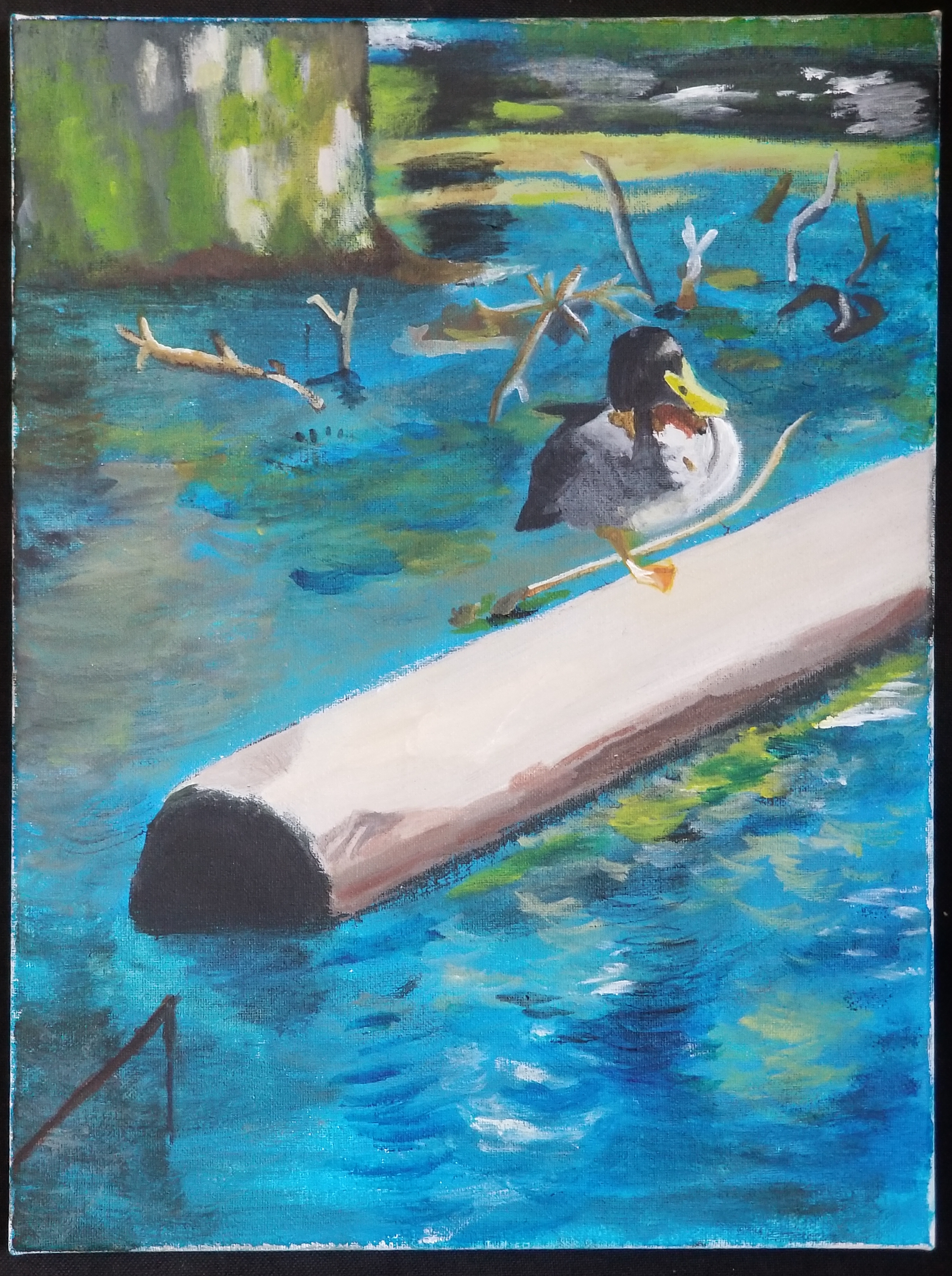 Duck Painting