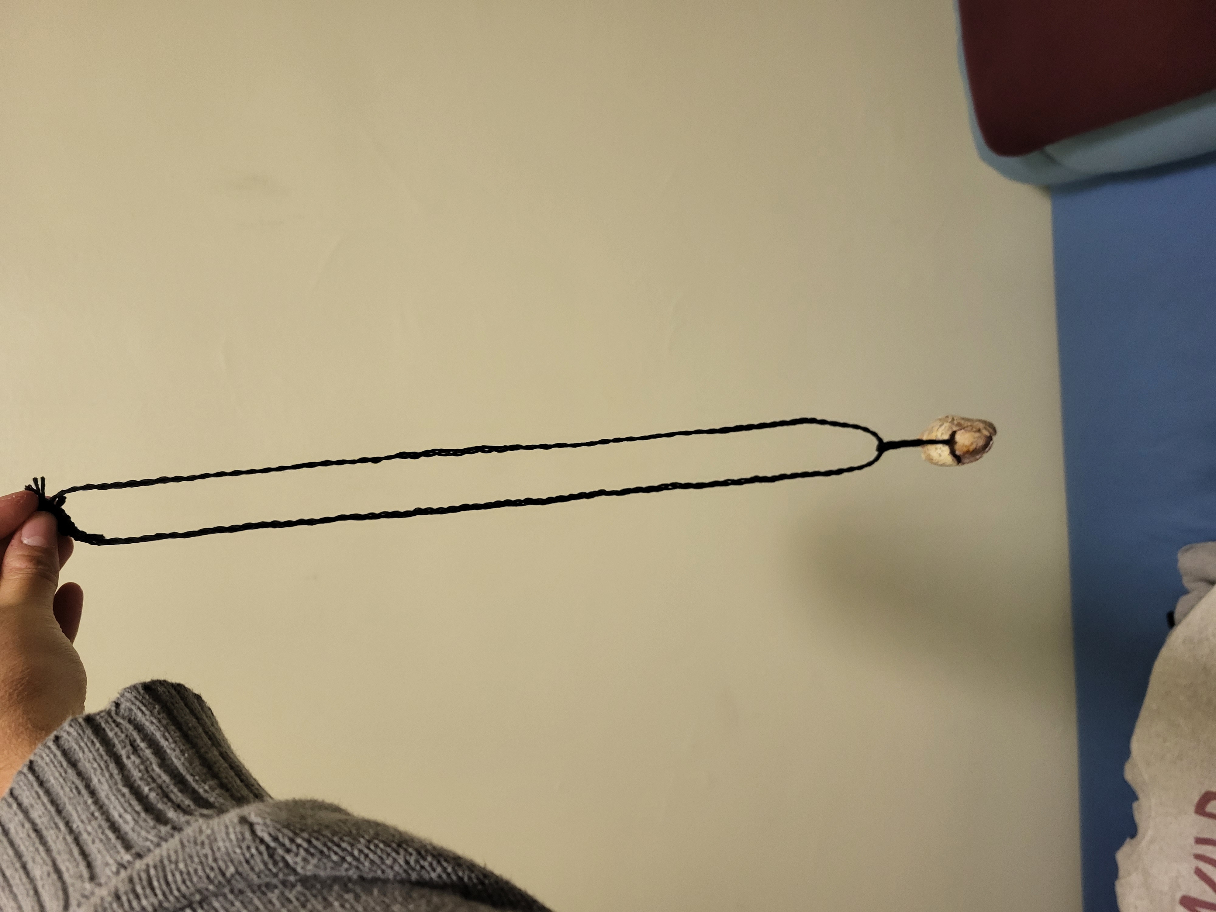 Shell Necklace